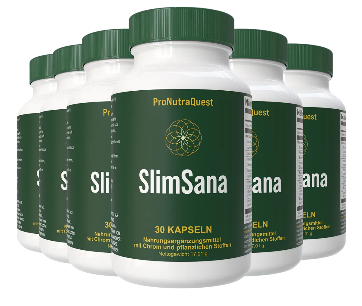 SlimSana 6 bottle package
