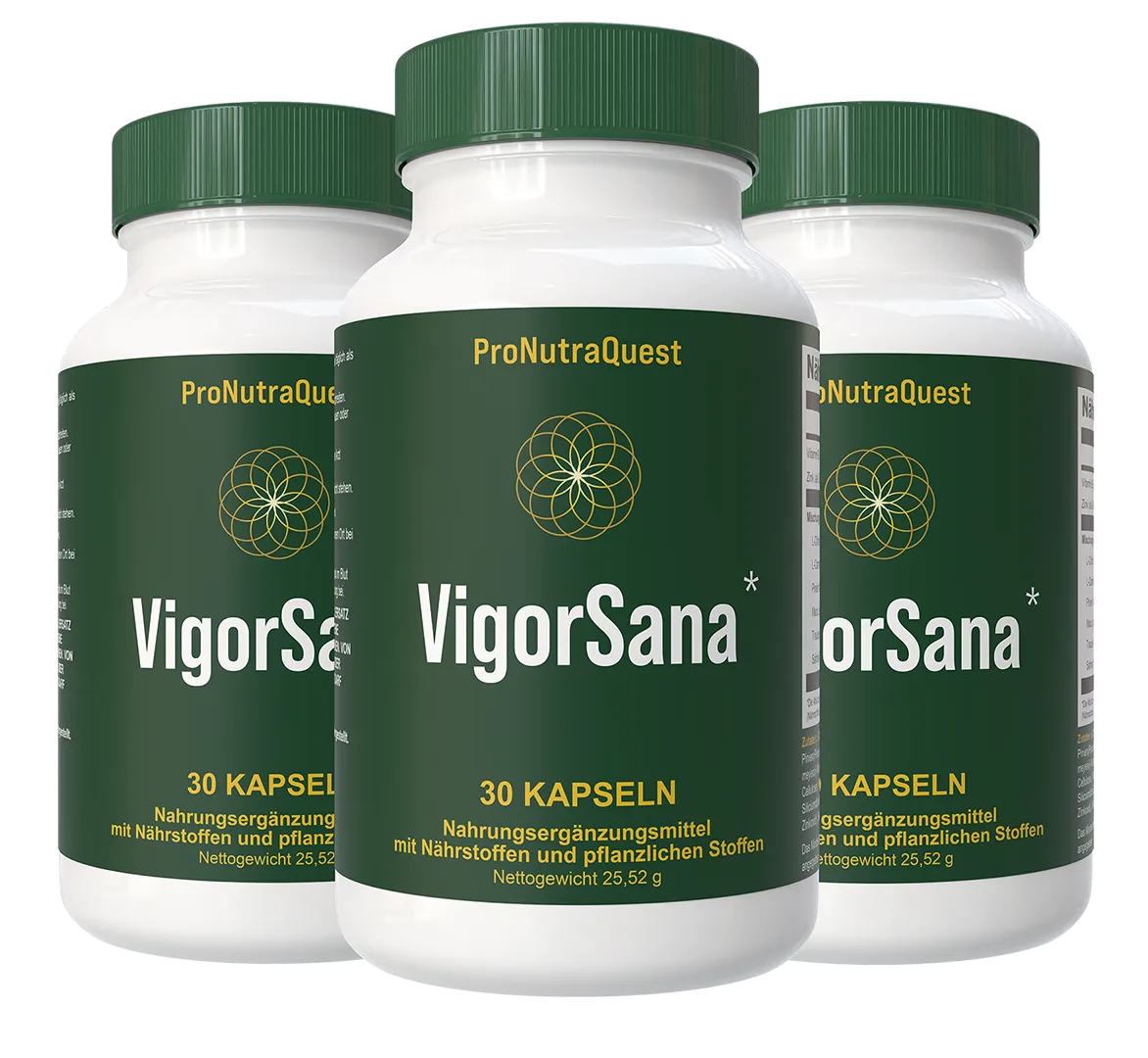 VigorSana 3 bottle package