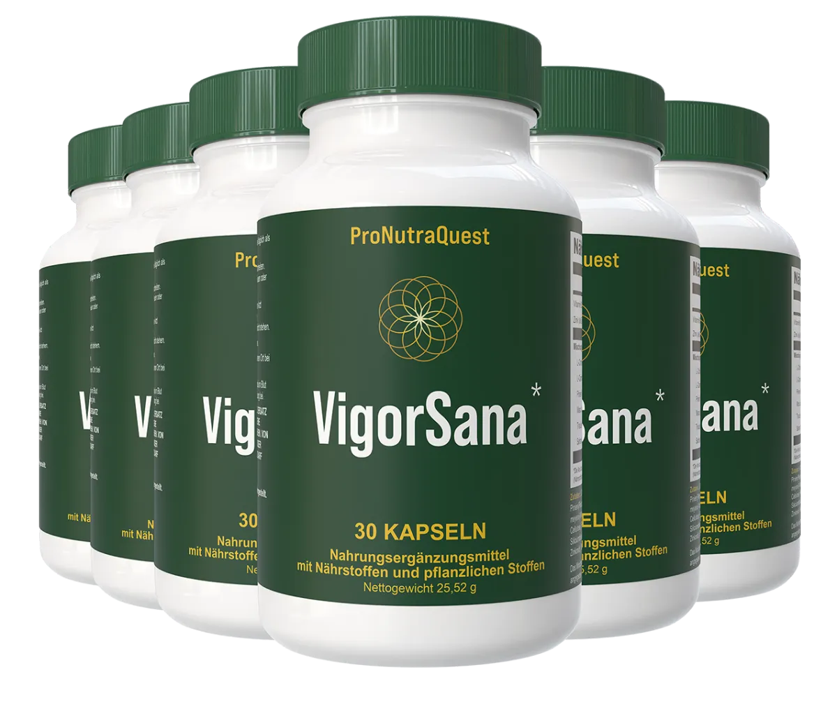 VigorSana 6 bottle package